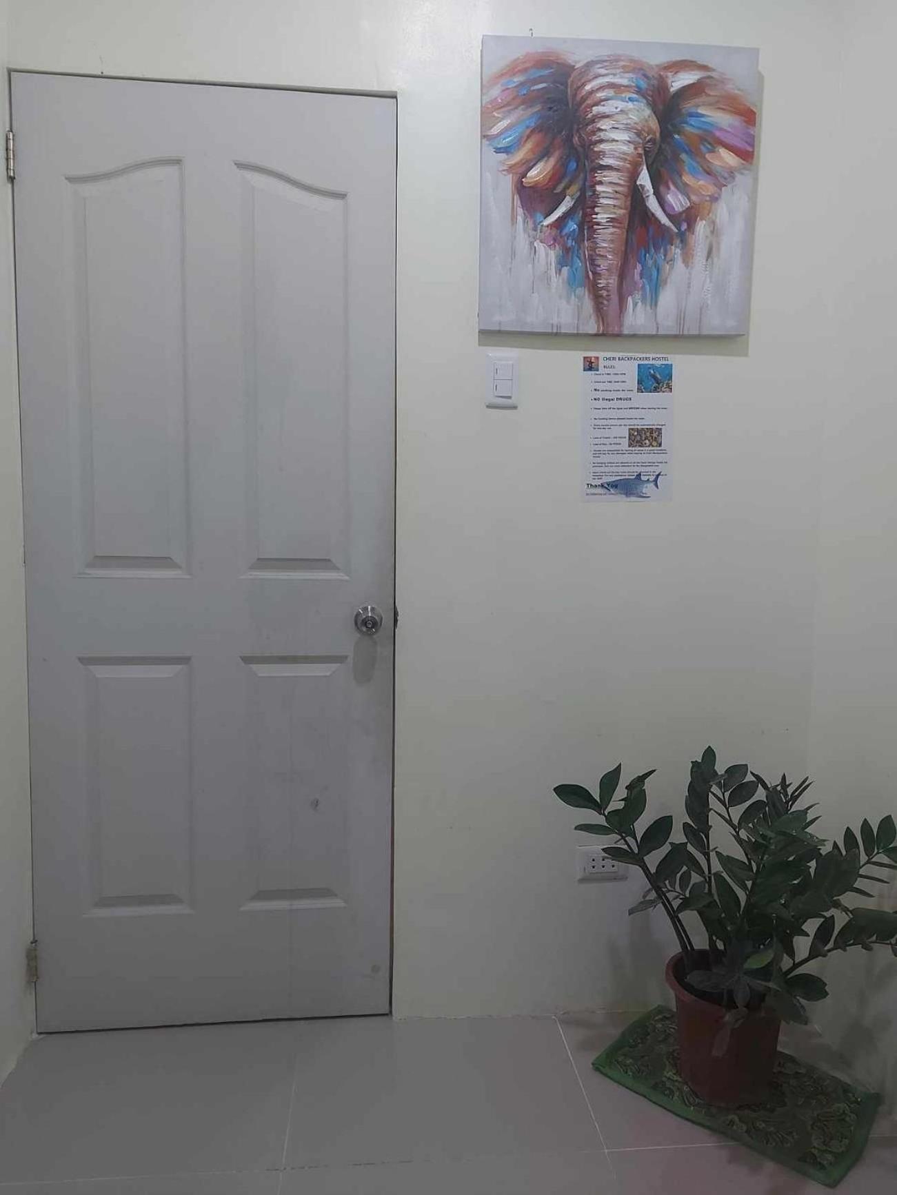 Cheri Backpackers Hostel Moalboal Eksteriør bilde